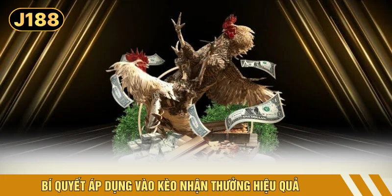 Bí quyết áp dụng vào kèo nhận thưởng hiệu quả